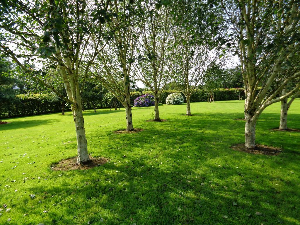 Redwood Bed & Breakfast Dunrine