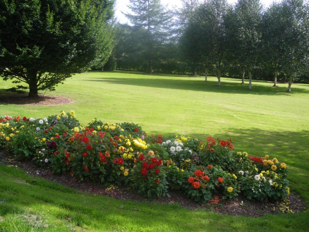 Redwood Bed & Breakfast Dunrine